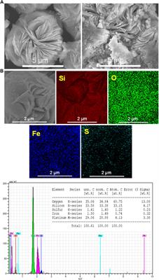Immobilization of Iron Minerals on a Layered Silicate for Enhancing its Solar Photocatalytic Activity toward H2 Production